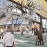 Image of Acorn Steam