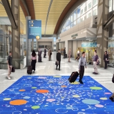 Image of A Fragment of the Universe