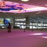 Image of Chromatic Oasis